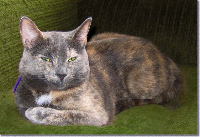 食った食った！